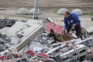 10257196 660306280683334 7307275906859474543 o