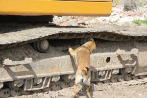 10269130 660305957350033 2769592529340822374 o