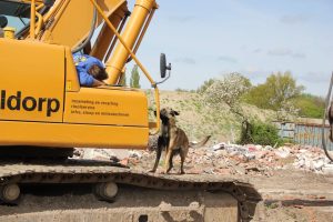 10271310 660305937350035 3739941615997105434 o