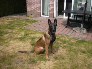 10338556 10200924052701370 8398655980157160513 o