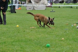 10341541 547706618673812 3011196781187573861 n