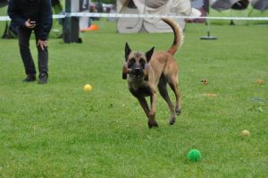 10351014 547706732007134 4167586002290846601 n