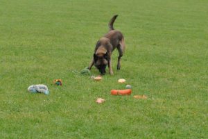 10364035 547707455340395 4552591143816149473 n 1