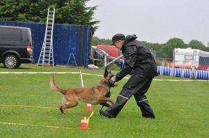 10365909 547706385340502 5431361767802040887 n