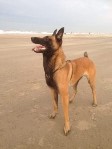 10372556 1625039091094759 7315293015202314001 n