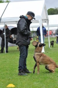 10373646 547706782007129 8770808908896615769 n