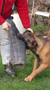 10403180 685683461552694 5969756087244213370 n