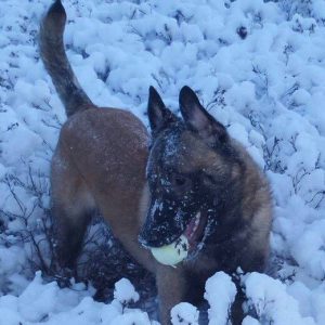 10403598 1600766426807216 3941781166324522202 n 1