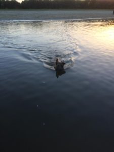 10406632 361830540651025 1549400399865966426 n