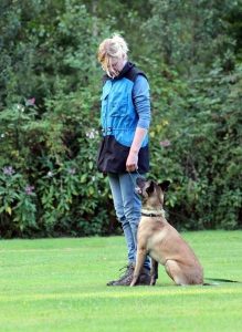 10409445 902319179860376 1559584182470775468 n