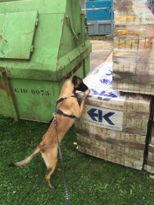 10411751 910426265687311 728064568243952821