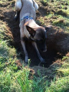 10418307 969235486473055 1791324997631609371 n