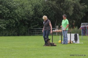 1044323 397291330382009 1083401455 n