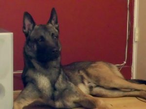 1044561 10151735875889467 478926074 n