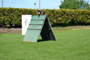 10447027 736017786509360 1118208466258593804 n