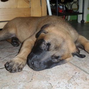 10464144 1501086630108530 4021752506227037836 n