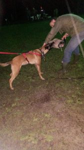 10475731 10200617554879116 5137796660929220452 n