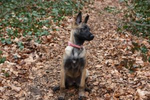 10483251 10204583662323751 4503472573194370952 o (1)