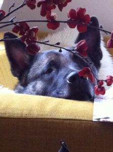 10487580 10152504286809467 3328318184601932985 n