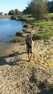 10513329 4931936514033 2870660141864940128 n 1