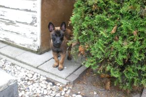 10515270 4533912563683 6207598100163180743 o