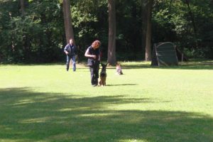 10548142 10200967307022701 1687459031478326765 o 1