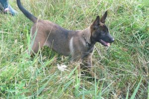 10548187 4604254762194 4916766507285383591 o