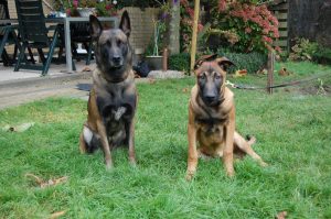 10575122 924269634269848 9147705811386116964 o