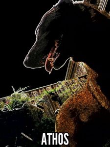 10584400 516166345183011 873585337 n