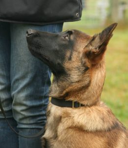 10592874 810696892316381 4123108545892981645 n