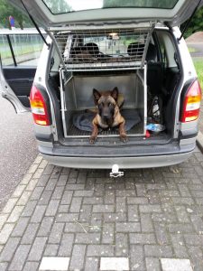 1059598 328033243996323 722666718 n