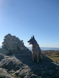 10612574 10152784818639467 6989359109503782610 n