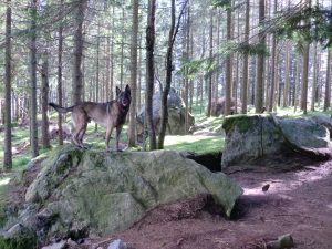 10630574 10152660549389467 3400848051227745199 o