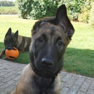 10632656 1522098151340711 5225363614555052496 n