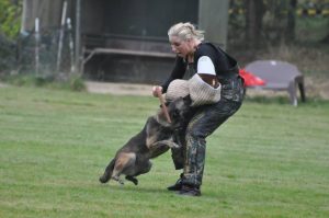 10644996 603532796424527 5180949466701278616 n