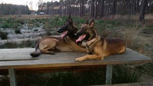 10649973 1101576486527593 2961821463300832453 n Narith en Lokesh