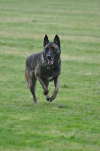 10653717 603532476424559 19624431754795111 n