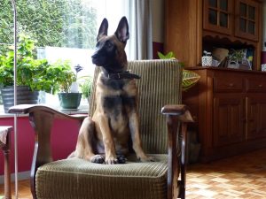 10668874 723345144386353 2978384237865345830 o