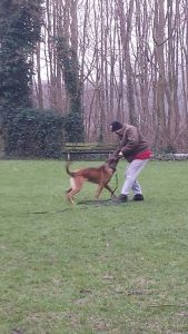 10671 685684748219232 8895585233368372410 n 1