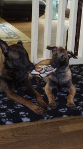 10682019 1529849740565552 312266819 n 1