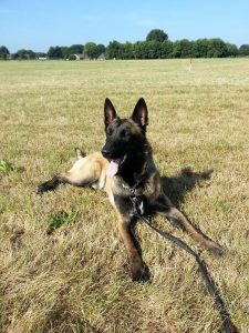 1080880 338789622920685 148021357 n 24-7-2013