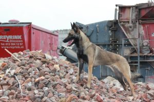 10841956 1025932980770179 1576721353717311317 o