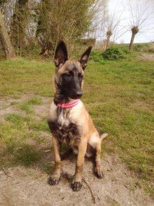 10868184 10204762550675848 6263316905010051271 n (1)