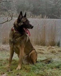 10923548 10153028808314467 6328496173576120740 n