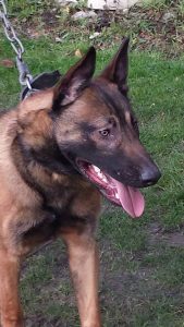 10926186 685683478219359 7343869975155604784 n