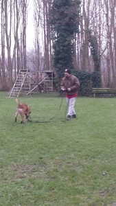 10928190 685684768219230 5550002055021848804 n 1