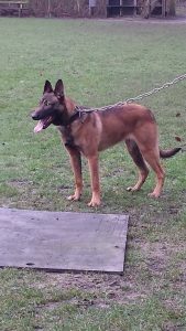 10933818 685683504886023 7185029315972893056 n