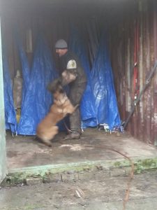 10942870 600339410099037 1653217297 n