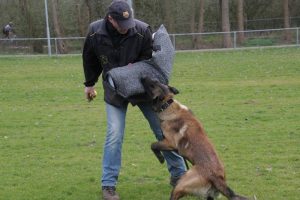 10976 533800773419568 7385736753865263638 n