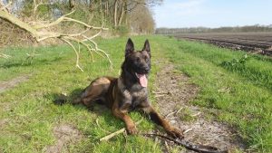 10986700 1619015781648947 7172563146064466512 n